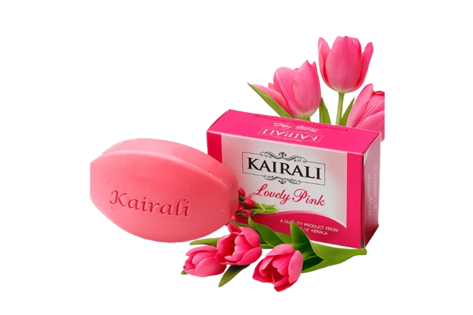 Untitled_design-removebg-preview (2)